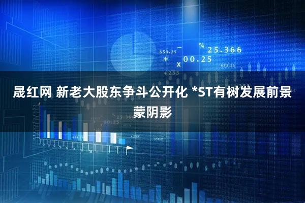 晟红网 新老大股东争斗公开化 *ST有树发展前景蒙阴影