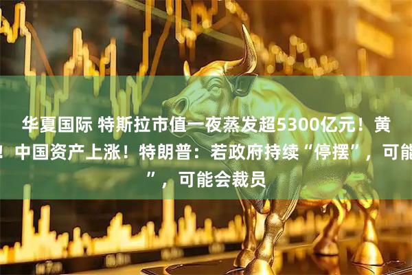 华夏国际 特斯拉市值一夜蒸发超5300亿元！黄金下跌！中国资产上涨！特朗普：若政府持续“停摆”，可能会裁员