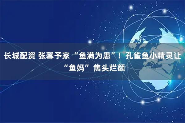 长城配资 张馨予家 “鱼满为患”!孔雀鱼小精灵让 “鱼妈” 焦头烂额