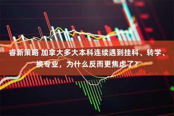 睿新策略 加拿大多大本科连续遇到挂科、转学、换专业，为什么反而更焦虑了？