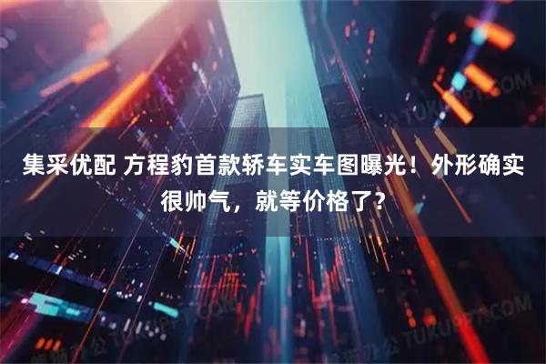 集采优配 方程豹首款轿车实车图曝光！外形确实很帅气，就等价格了？