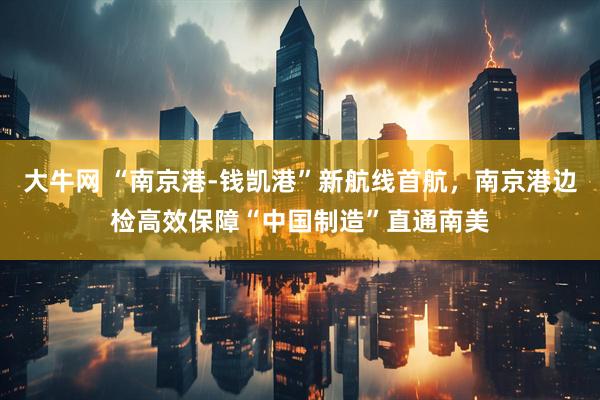 大牛网 “南京港-钱凯港”新航线首航，南京港边检高效保障“中国制造”直通南美
